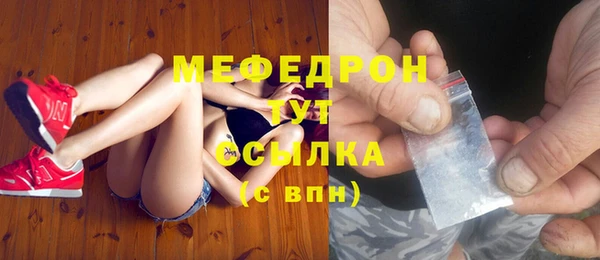 прущие грибы Богданович