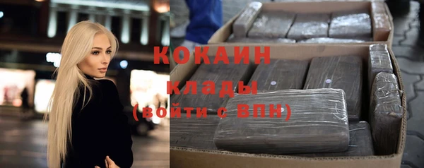 прущие грибы Богданович