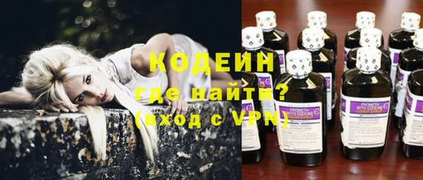 прущие грибы Богданович
