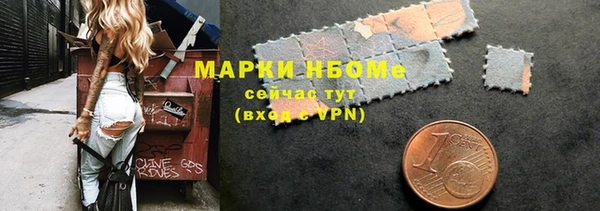 прущие грибы Богданович