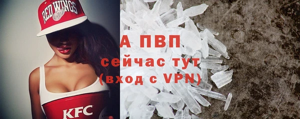 прущие грибы Богданович