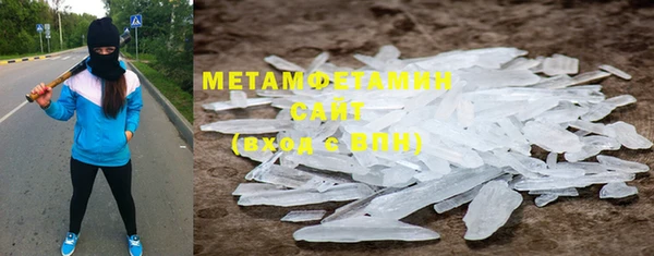 прущие грибы Богданович