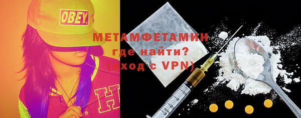 прущие грибы Богданович