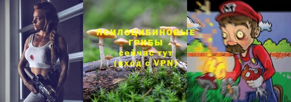 ALPHA PVP Богородицк