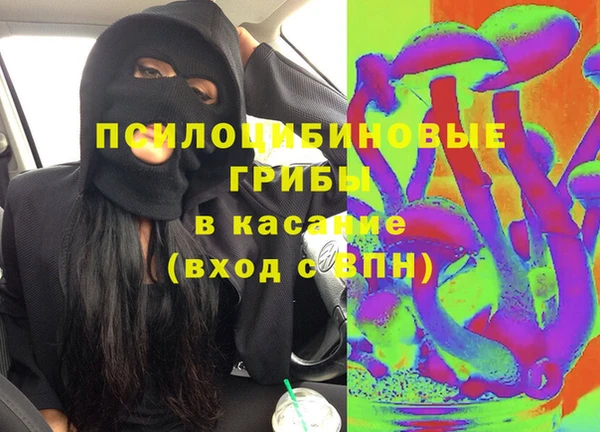 прущие грибы Богданович
