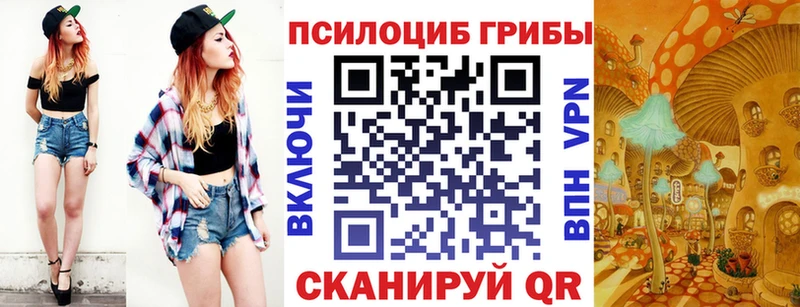 Псилоцибиновые грибы MAGIC MUSHROOMS  сколько стоит  ссылка на мегу маркетплейс  Астрахань 